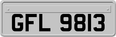 GFL9813