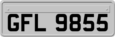 GFL9855