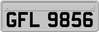 GFL9856