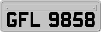 GFL9858