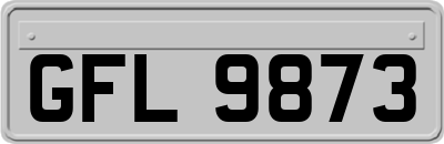 GFL9873