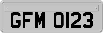 GFM0123