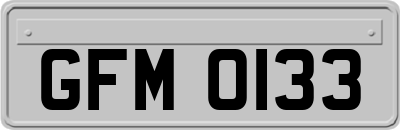 GFM0133