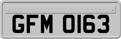 GFM0163