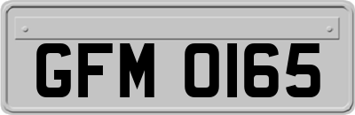 GFM0165