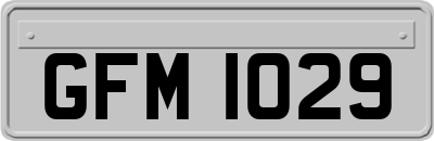 GFM1029