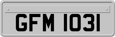 GFM1031