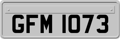 GFM1073