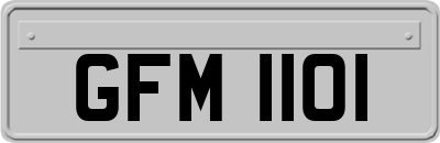 GFM1101