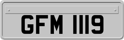 GFM1119