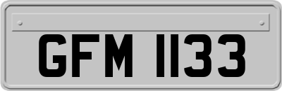 GFM1133