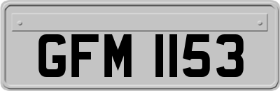 GFM1153