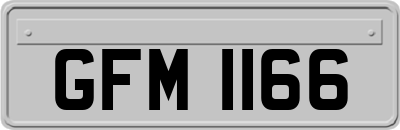 GFM1166