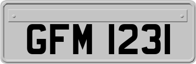 GFM1231