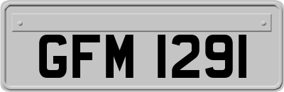 GFM1291