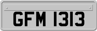 GFM1313