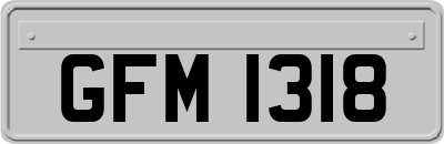 GFM1318