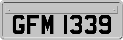 GFM1339