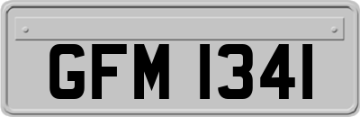 GFM1341