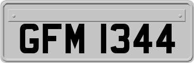 GFM1344