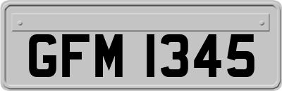 GFM1345