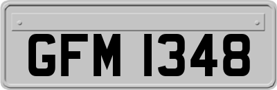 GFM1348