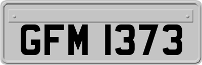 GFM1373