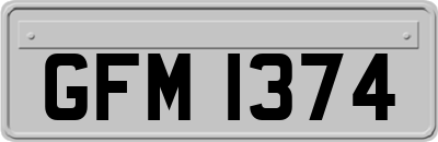 GFM1374