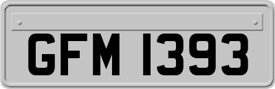 GFM1393
