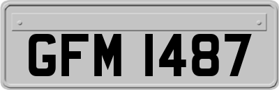 GFM1487