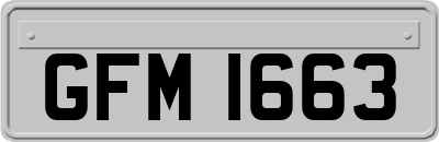 GFM1663
