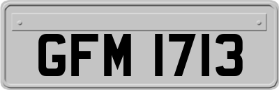 GFM1713
