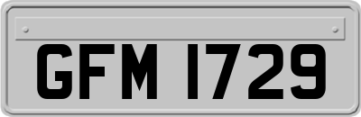 GFM1729