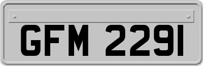 GFM2291