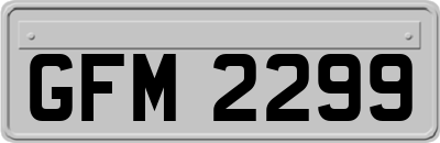 GFM2299