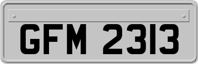 GFM2313