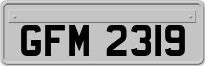 GFM2319