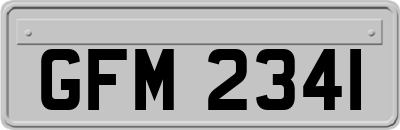 GFM2341