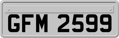 GFM2599