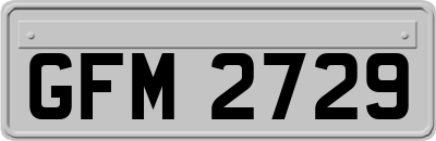 GFM2729