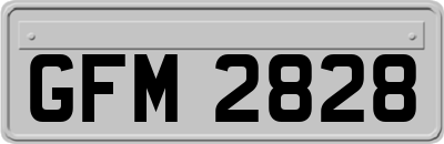 GFM2828
