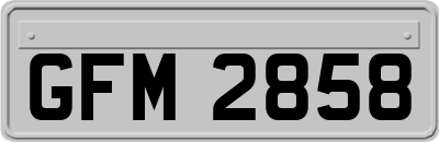 GFM2858