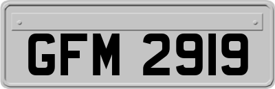 GFM2919