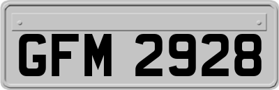 GFM2928