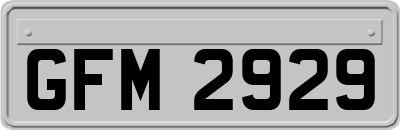 GFM2929