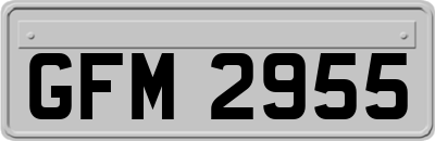 GFM2955