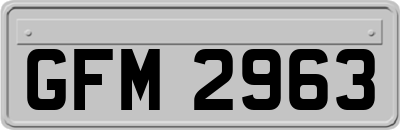 GFM2963