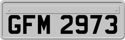 GFM2973