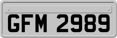 GFM2989
