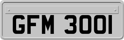 GFM3001